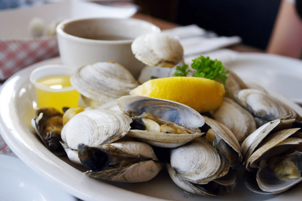 Mussels vs. Clams. The Truth Revealed. Shaking Seafood